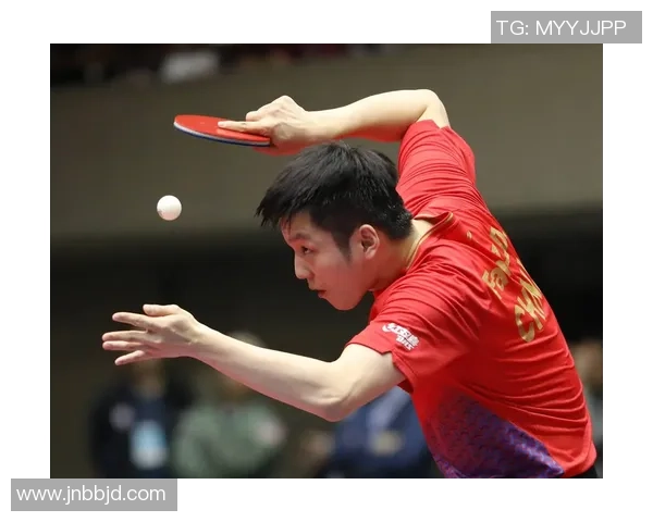 杭州乒乓球队耐力训练的秘密与挑战探索 杭州乒乓球队耐力训练的秘密与挑战探索